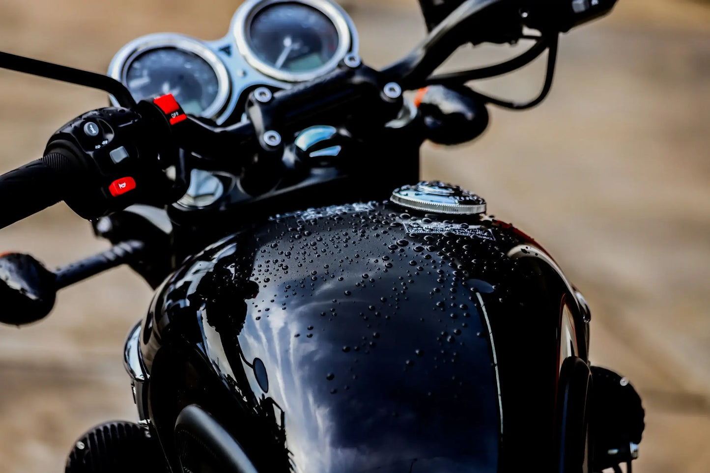 WASH&WHIPS MotoPro Motorcycle Detailing Kit - Bug Remover, Leather Care, Ceramic Spray
