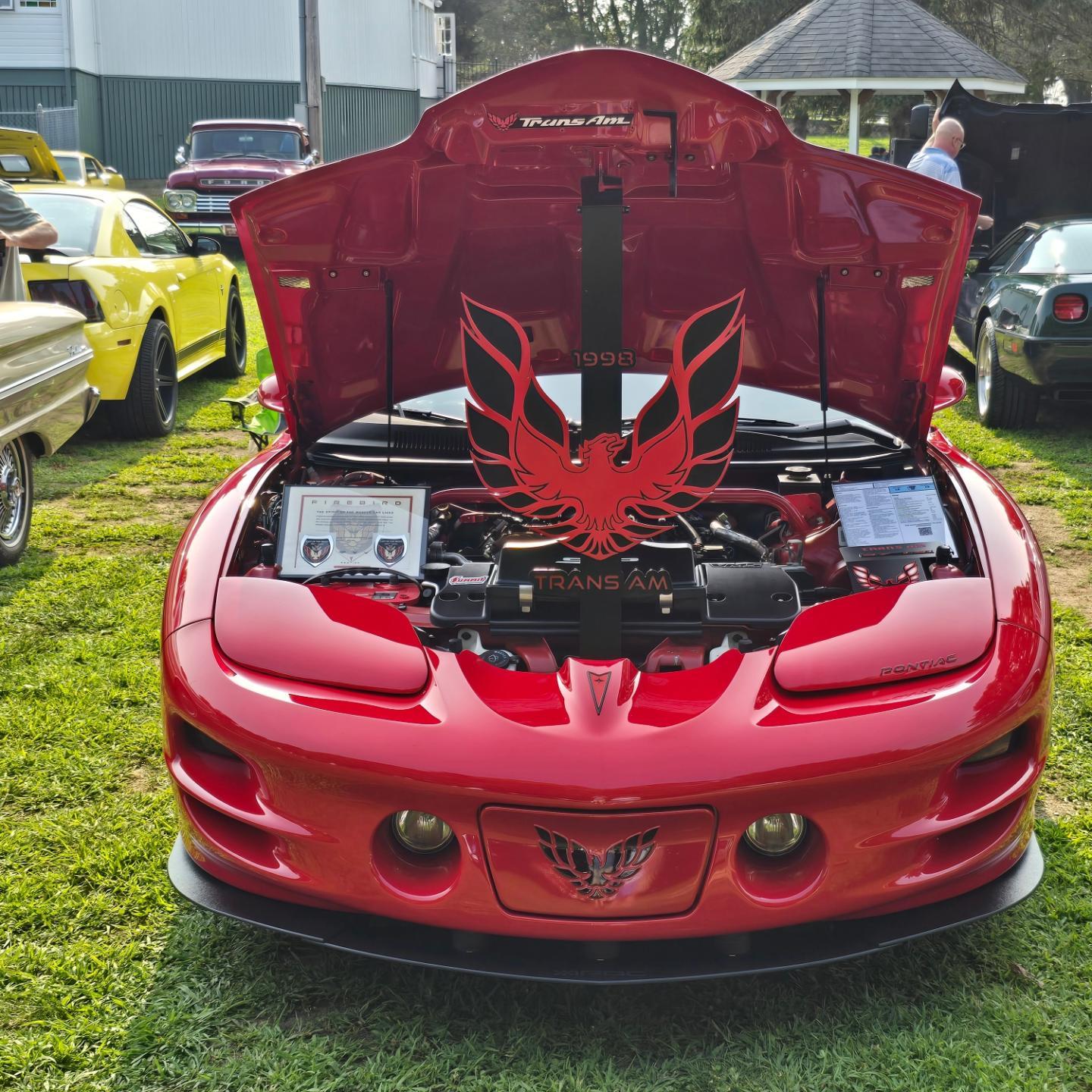 Custom 4th Gen Firebird Hood Prop - Handcrafted
