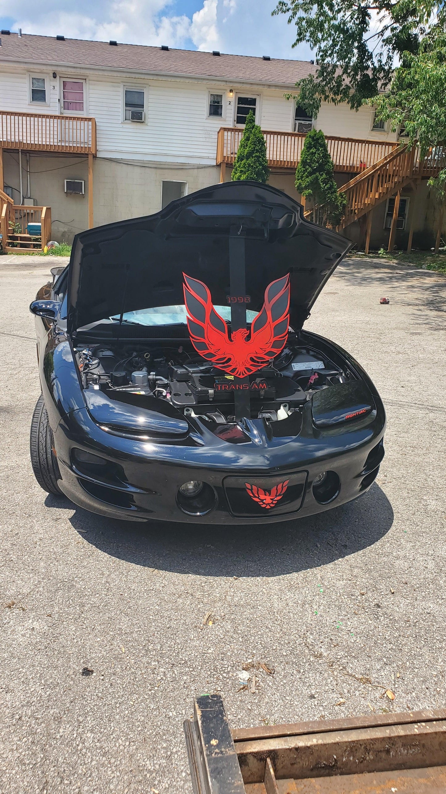 Custom 4th Gen Firebird Hood Prop - Handcrafted, 36" Tall, Personalized Logo Details - Martin Metalwork LLC