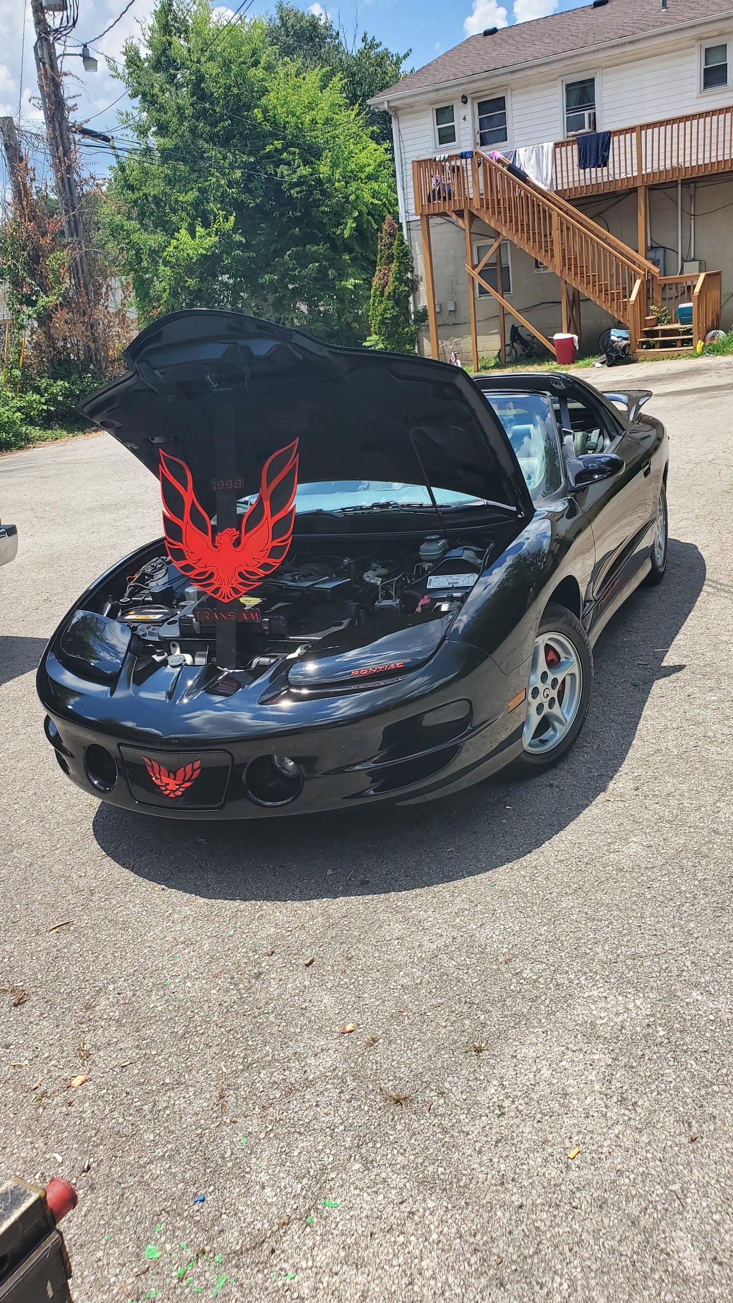 Custom 4th Gen Firebird Hood Prop - Handcrafted, 36" Tall, Personalized Logo Details - Martin Metalwork LLC