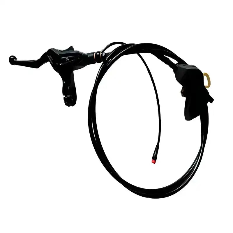 Brake Assembly