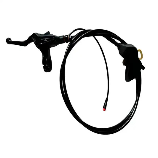 Brake Assembly