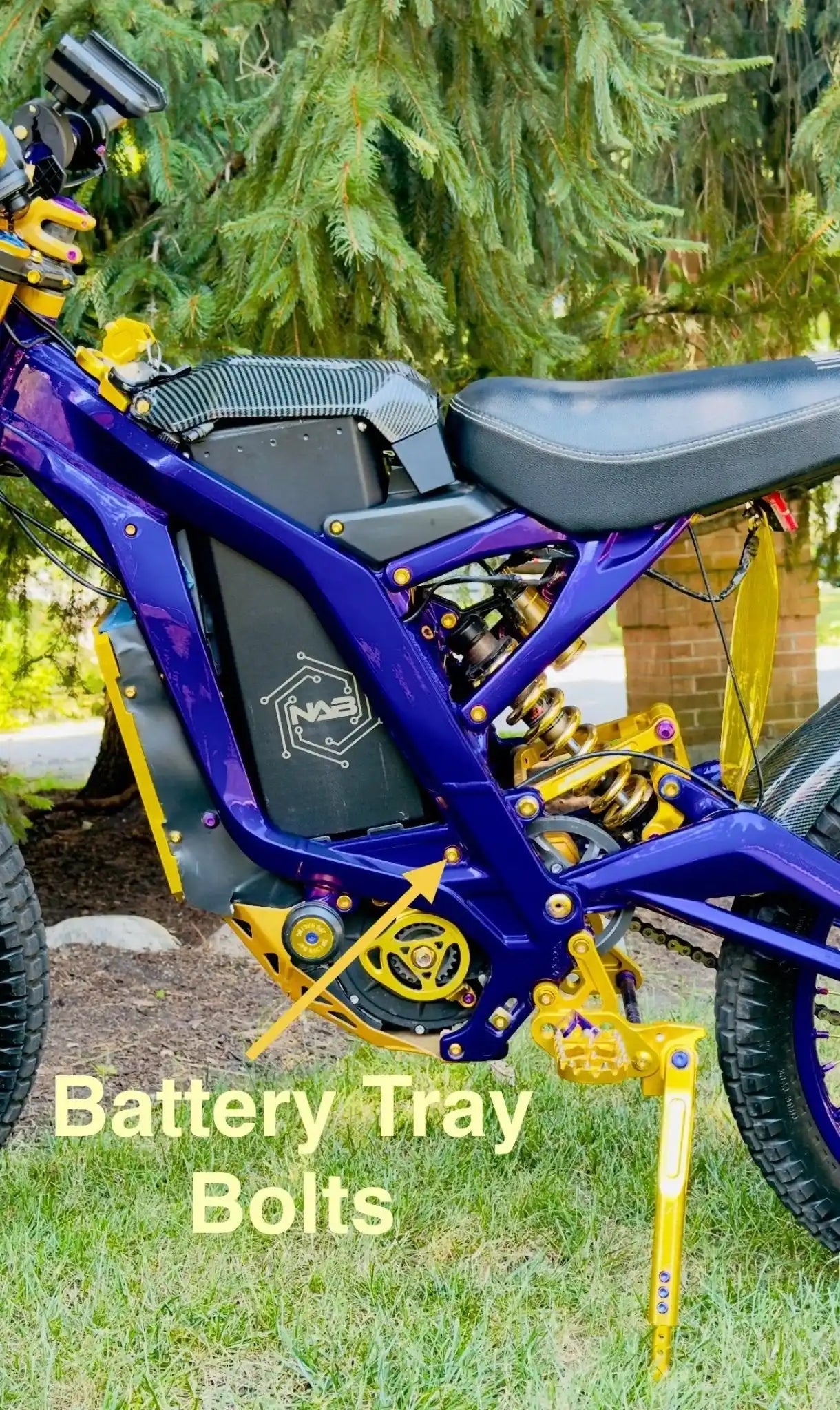 Titanium Battery Tray Bolts (Set of Two) Surron, Segway, E-Ride Pro