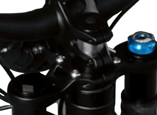 Titanium E-Moto Headlight Mount Bolts