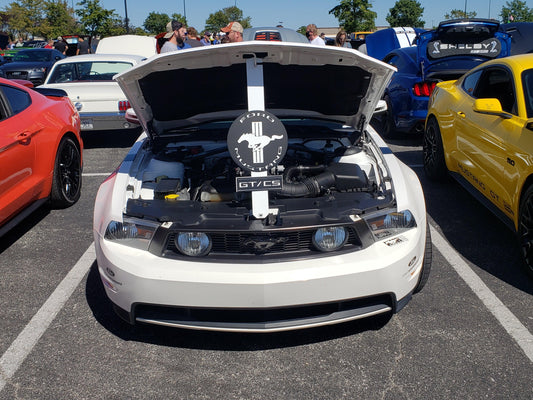 Mustang Style Hood Prop - Martin Metalwork LLC