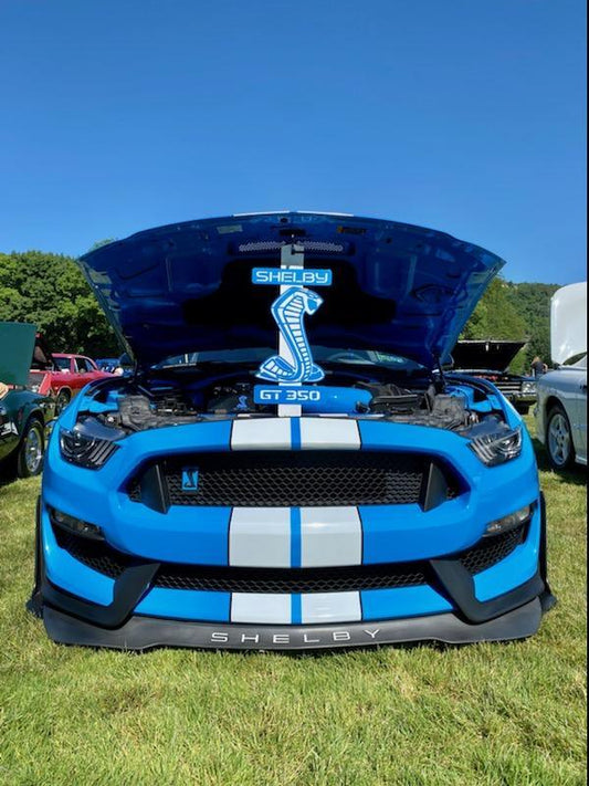Custom Shelby GT350 Mustang Hood Prop - Martin Metalwork LLC