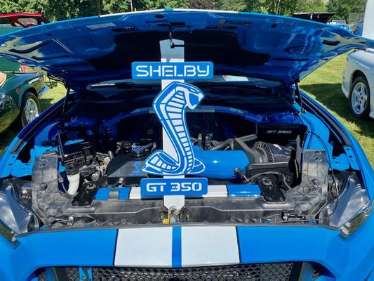 Custom Shelby GT350 Mustang Hood Prop - Martin Metalwork LLC