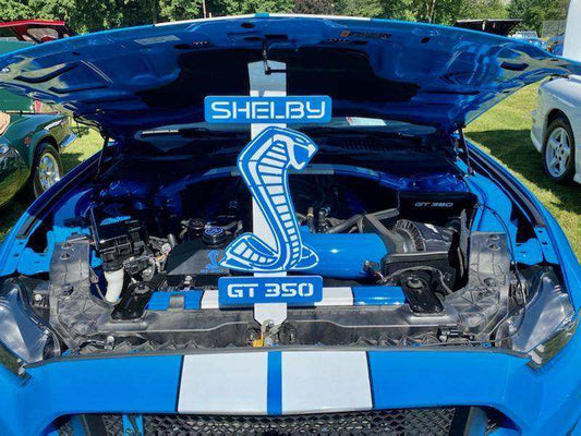 Custom Shelby GT350 Mustang Hood Prop - Martin Metalwork LLC