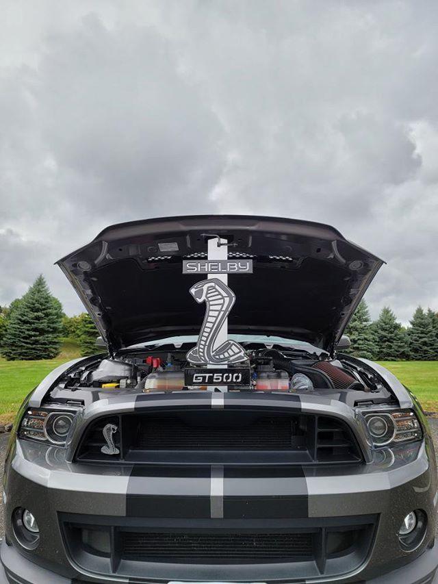 Custom Shelby GT500 Mustang Hood Prop - Martin Metalwork LLC