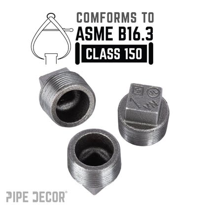 1 in. Black Plug