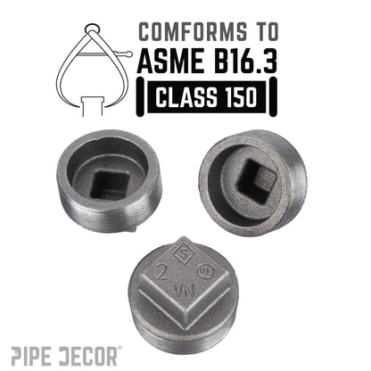 2 in. Black Plug