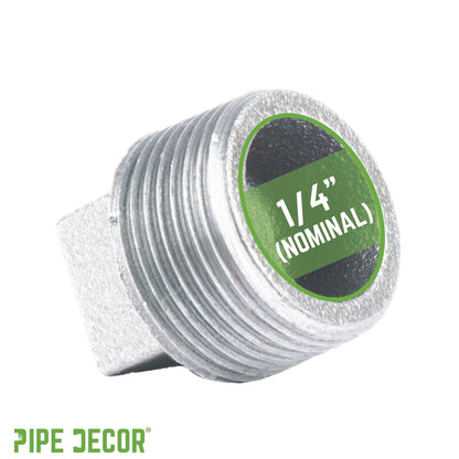 1/4 in. Galvanized Iron Plug