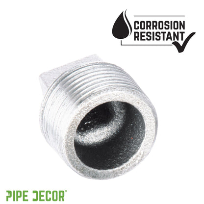 1/4 in. Galvanized Iron Plug