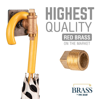 1/2 in. Red Brass Plug
