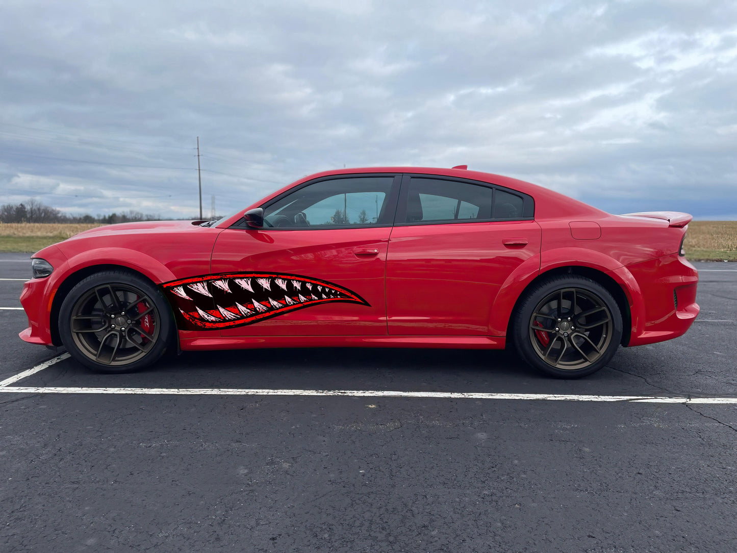 Flying Tiger Shark Military Bomber Design Decal. Jaws Decal. #6992