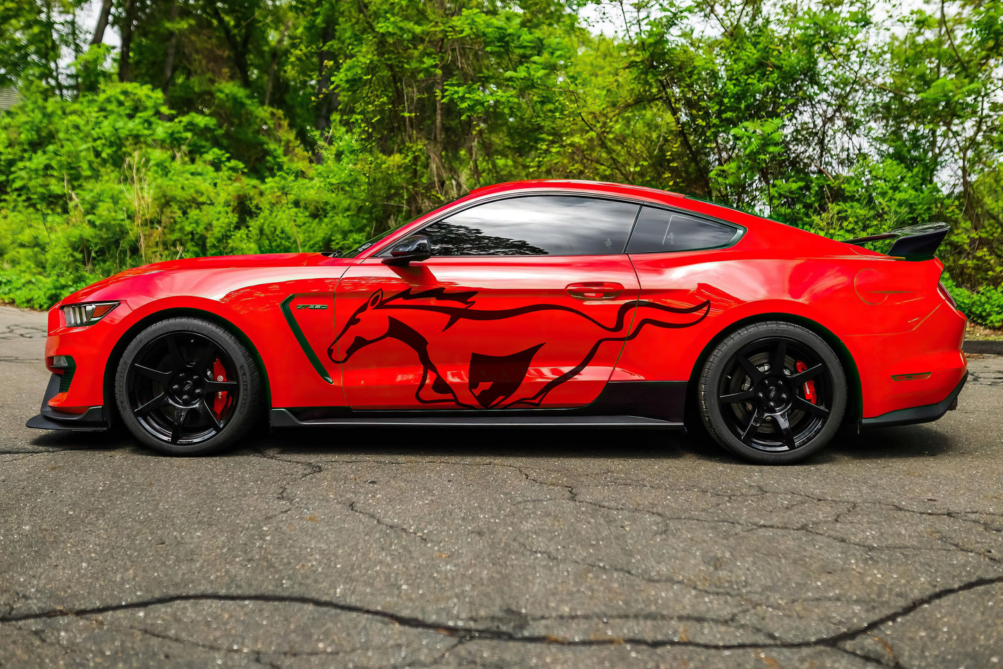 Mustang Horse Graphic Decal for Mustang Car, Mustang Mach-E. #7096-Sup