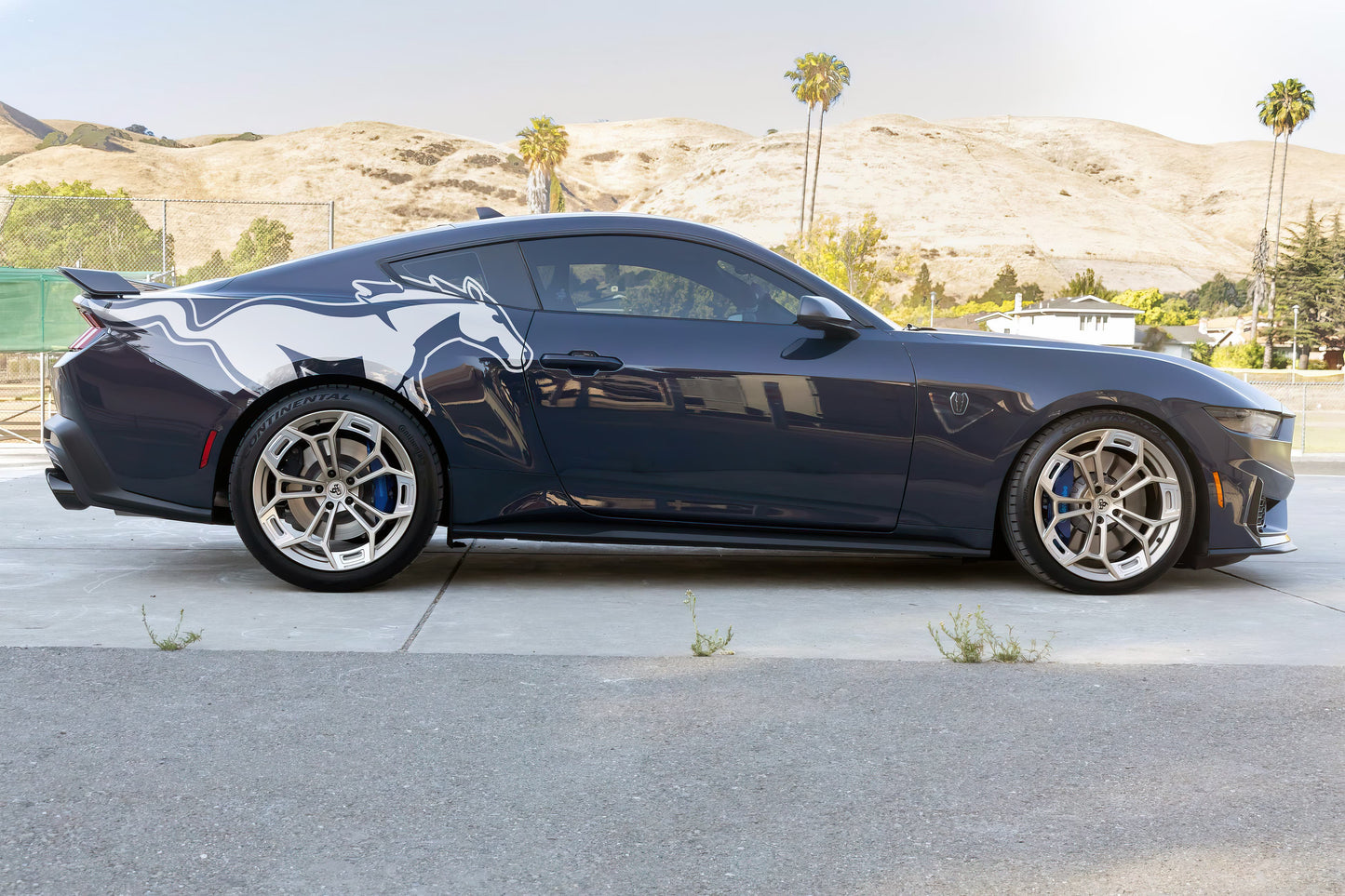 Mustang Horse Graphic Decal for Mustang Car, Mustang Mach-E. #7096-Sup