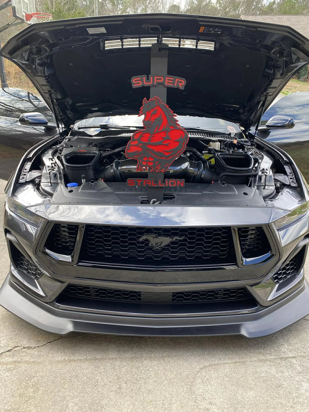 Custom Car Shows Hood Props