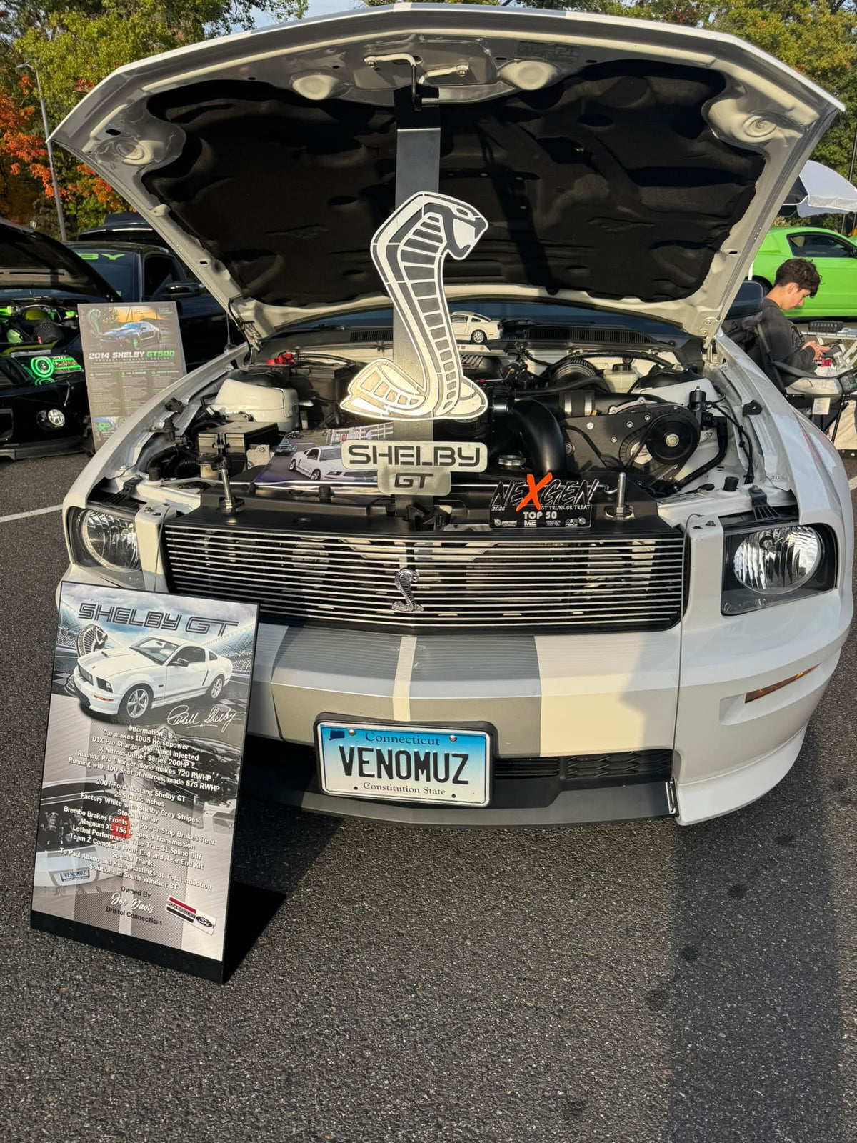 Custom Shelby GT500 Mustang Hood Prop