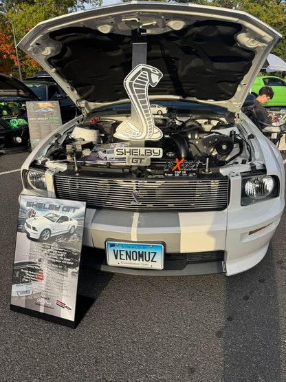 Custom Shelby GT500 Mustang Hood Prop