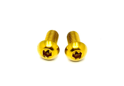 Titanium M6 Ignition Cover Bolts (Set of Two) Surron, Segway, Similar E-moto