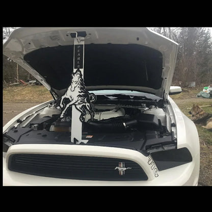 Custom Car Shows Hood Props
