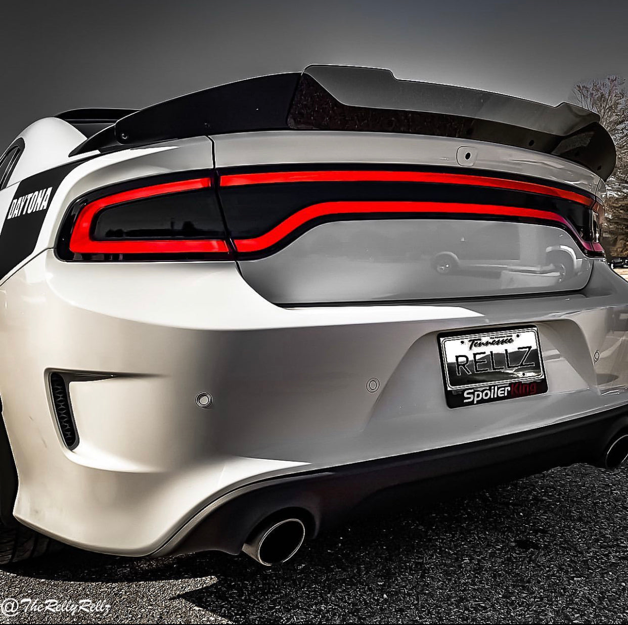 Charger 15-23 SRT Stealth Wicker Bill