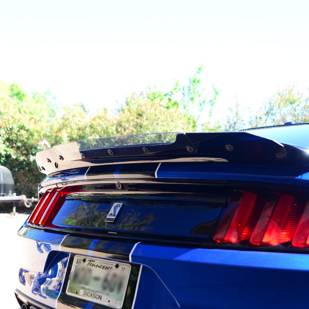 Mustang 15-23 Track Pack Carbon Fiber Wicker Bill