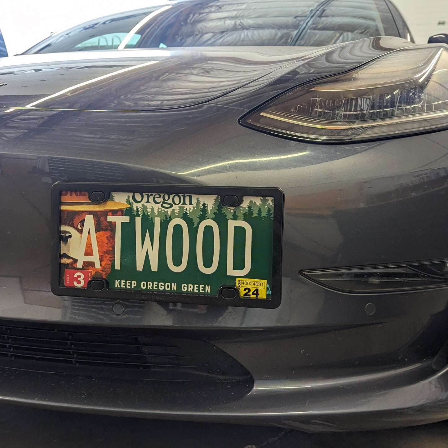Tesla 17-26 Model 3 License Plate Holder