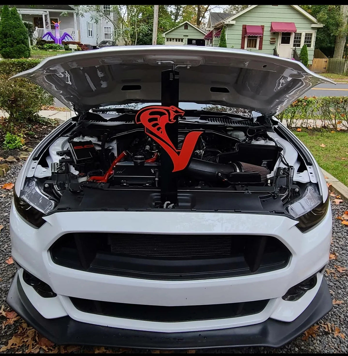 Custom Car Shows Hood Props