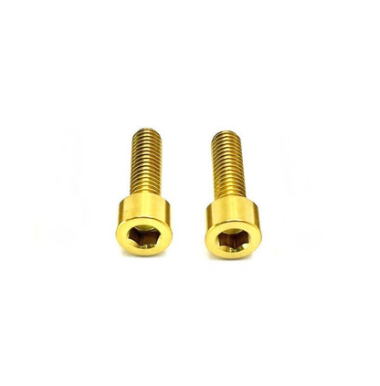 Titanium Surron LBX Motor Cover Bolts — E-Moto
