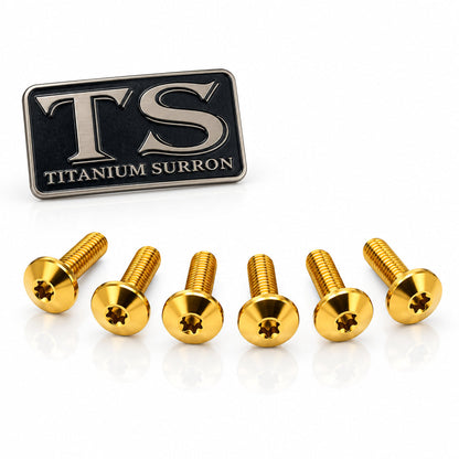 Titanium Front Rotor Bolts - E-Moto