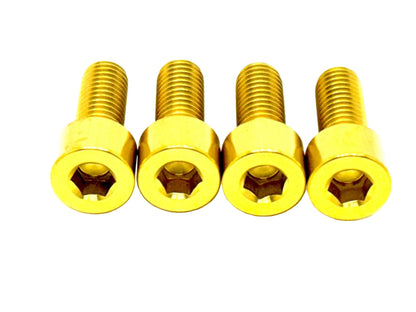 Titanium Seat/ Subframe Bolts for E-moto
