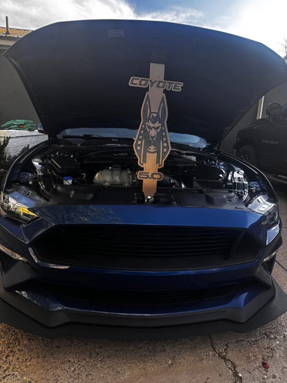 Custom Car Shows Hood Props