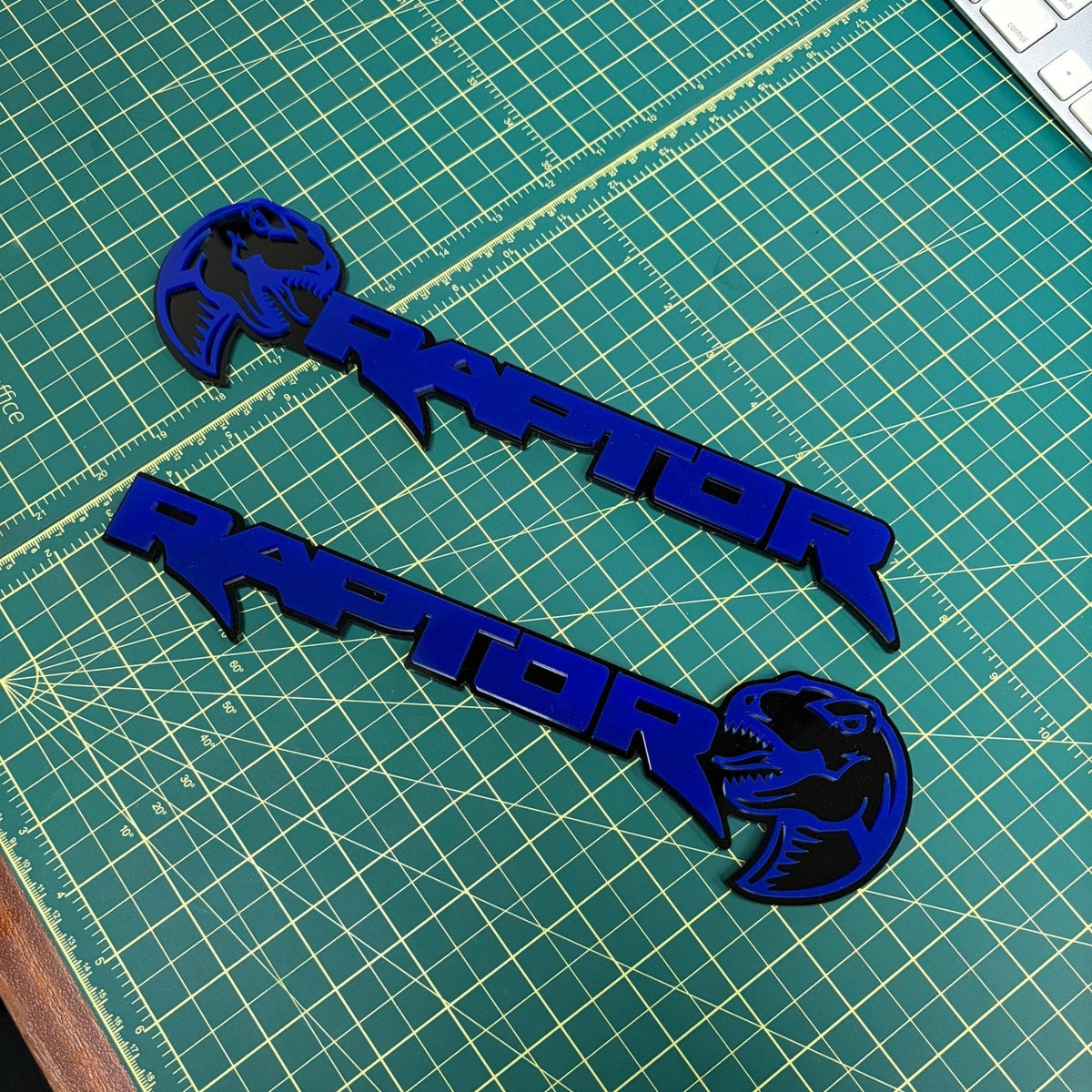 Ford Raptor Door Emblems (F150, Ranger, Bronco) - sold as a pair