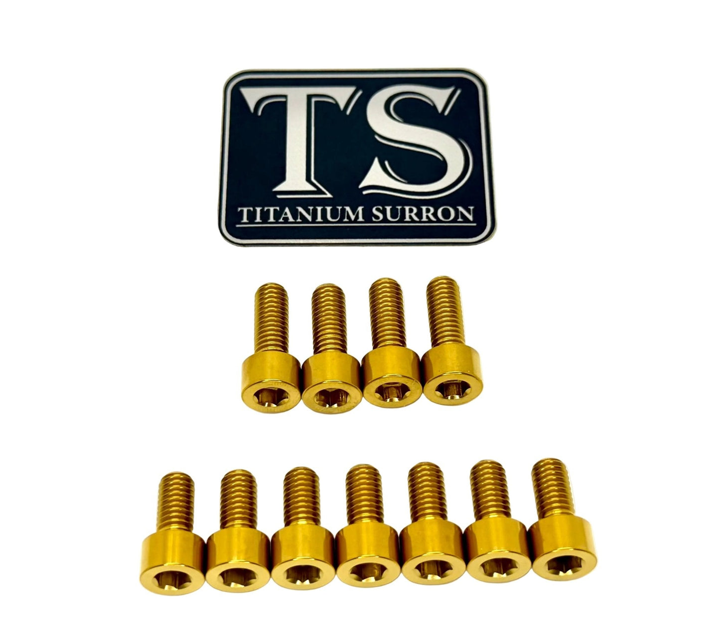 Fox 40 and Bomber 58 Fork Titanium Bolt Kits
