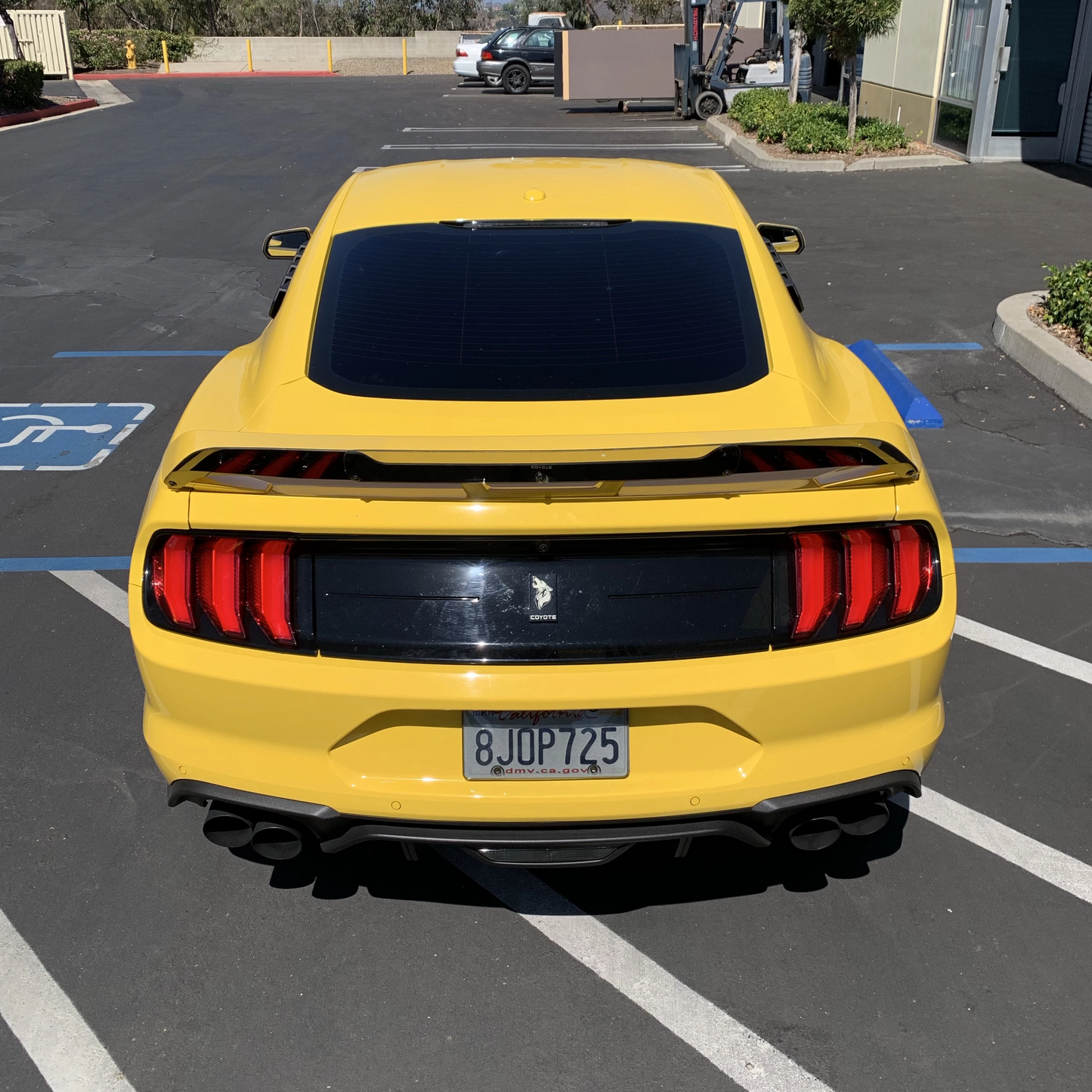 Mustang 18-23 Performance Pack Wicker Bill