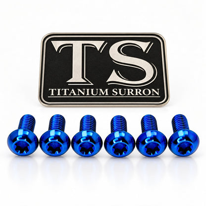 Titanium Bolts for Fork Plastics/ Guards (Most Forks)