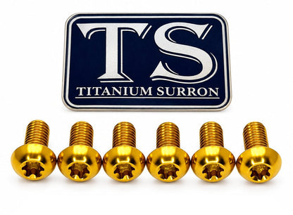Titanium Bolts for Fork Plastics/ Guards (Most Forks)