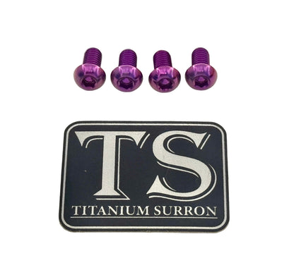 Titanium E-Moto Headlight Mount Bolts