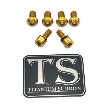 Titanium E-Moto Headlight Mount Bolts