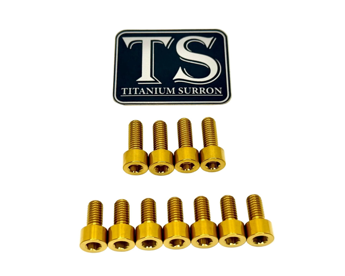 Titanium EXT Ferro Fork Bolt Kits