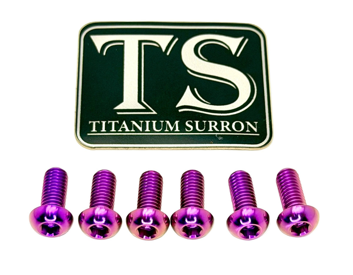 Titanium Front Rotor Bolts - E-Moto