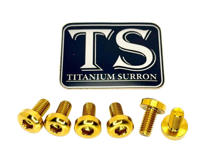 Titanium Front Rotor Bolts - E-Moto
