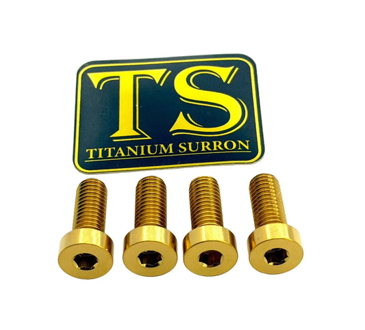 Titanium Seat/ Subframe Bolts for E-moto