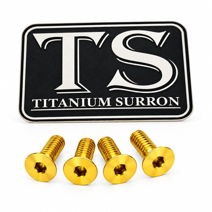 Titanium Surron Ultra Bee Brake Reservoir Cap Bolts