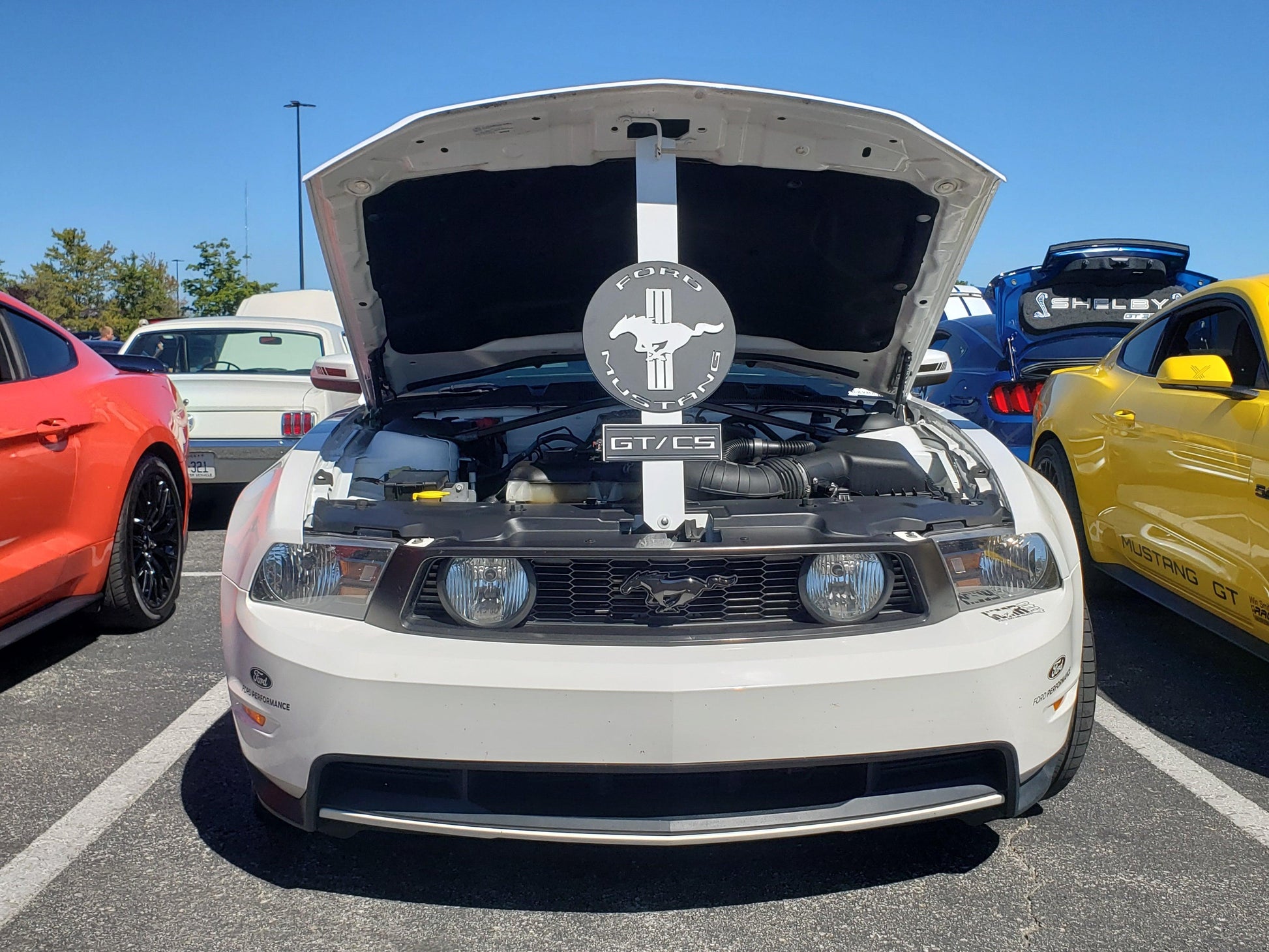 Mustang Style Hood Prop - Martin Metalwork LLC 