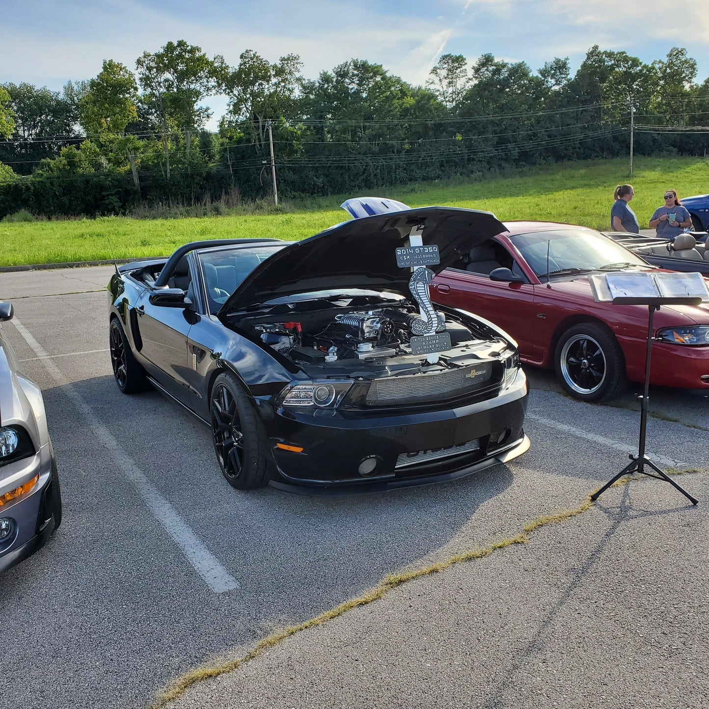 Custom Shelby Mustang super snake Hood Prop - Martin Metalwork LLC 