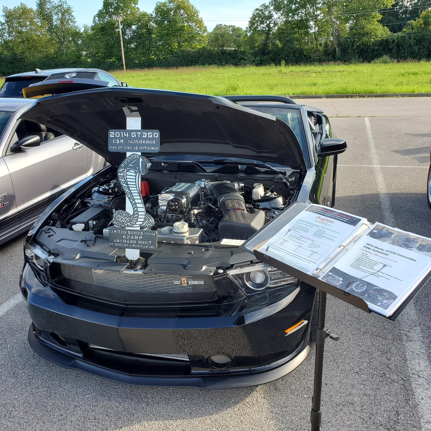 Custom Shelby Mustang super snake Hood Prop - Martin Metalwork LLC 