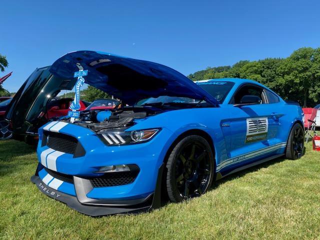 Custom Shelby GT350 Mustang Hood Prop - Martin Metalwork LLC 